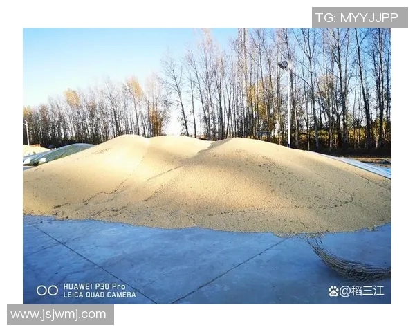 北京极限运动队反击之路:挑战与收获的深度剖析 北京极限运动队反击之路:挑战与收获的深度剖析